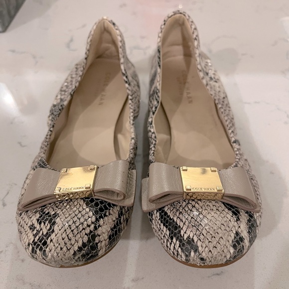 Snake Print Ballet Flats - Picture 1 of 3